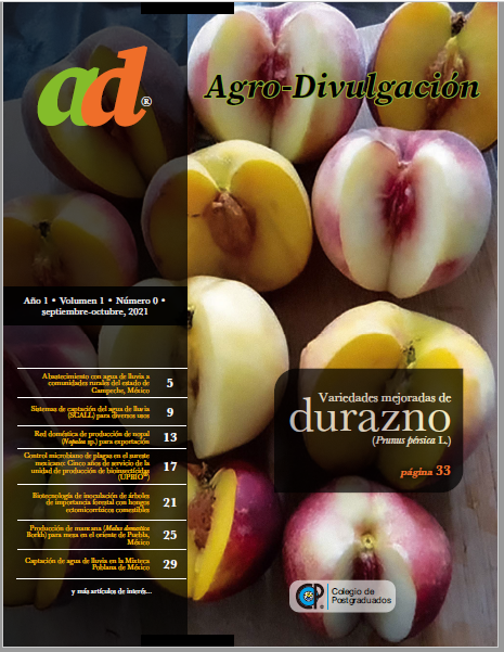 					Ver Vol. 1 Núm. CERO (2021): SEPTIEMBRE-OCTUBRE
				